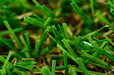 artificial grass -4.jpg