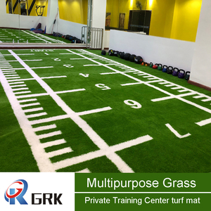 Multipurpose Gym turf Customized indoor lawn mat